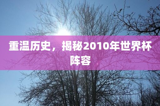 重温历史，揭秘2010年世界杯阵容洪湖市顺升工程机械租赁有限公司