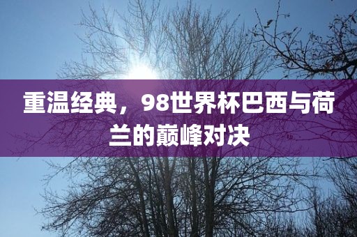 重温经典，98世界杯巴西与荷兰的巅峰对决洪湖市顺升工程机械租赁有限公司