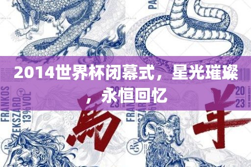 2014世界杯闭幕式，星光璀璨，永恒回忆洪湖市顺升工程机械租赁有限公司