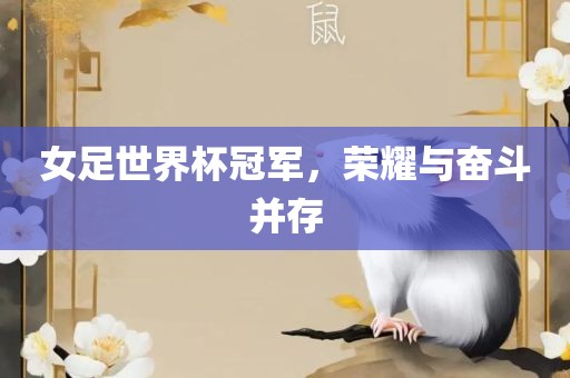 女足世界杯冠军，荣耀与奋斗并存洪湖市顺升工程机械租赁有限公司