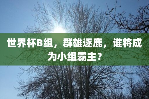 世界杯B组，群雄逐鹿，谁将成为小组霸主？