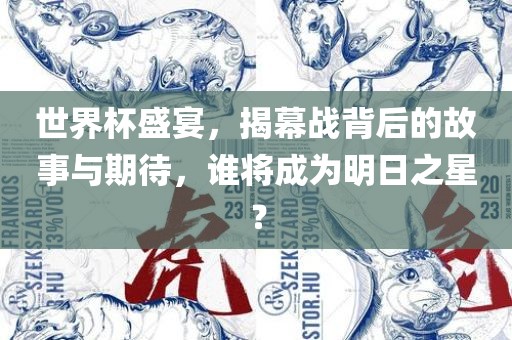 世界杯盛宴，揭幕战背后的故事与期待，谁将成为明日之星？