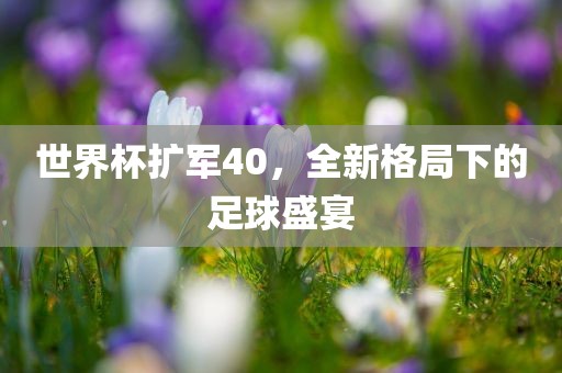 世界杯扩军40，全新格局下的足球盛宴洪湖市顺升工程机械租赁有限公司