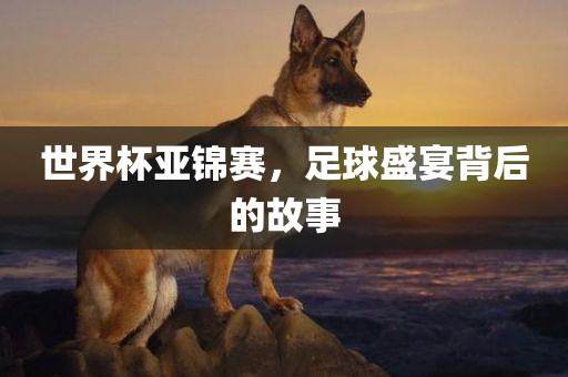 世界杯亚锦赛，足球盛宴背后的故事洪湖市顺升工程机械租赁有限公司