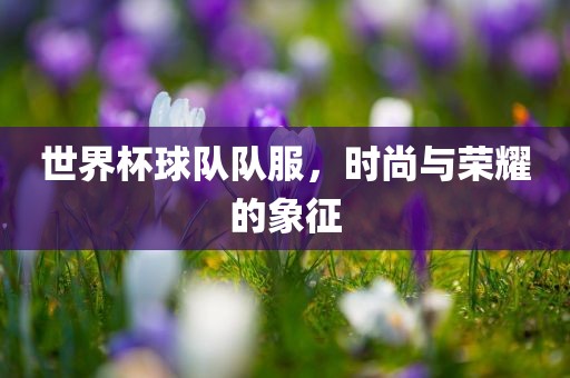 世界杯球队队服，时尚与荣耀的象征洪湖市顺升工程机械租赁有限公司