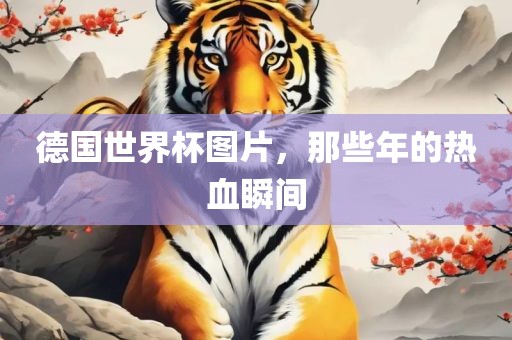 德国世界杯图片，那些年的热血瞬间