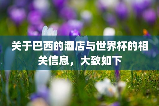 关于巴西的酒店与世界杯的相关信洪湖市顺升工程机械租赁有限公司息，大致如下