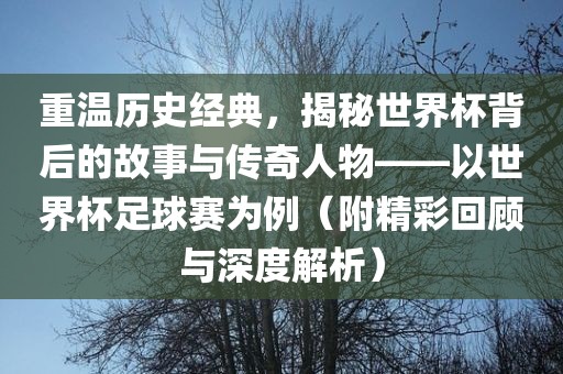 重温历史经典，揭秘世界杯背后的故事与传奇人物——以世界杯足球赛为例（附精彩回顾与深度解析）