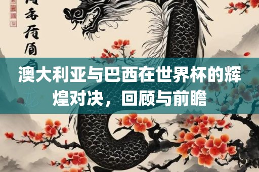 澳大利亚与巴西在世界杯的辉煌对决，回顾与前瞻洪湖市顺升工程机械租赁有限公司