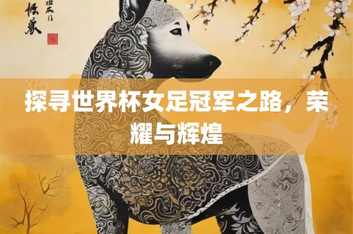 探寻世界杯女足冠军之路，荣耀与辉煌