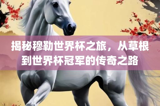 揭秘穆勒世界杯之旅，从草根到世界杯冠军的传奇之路