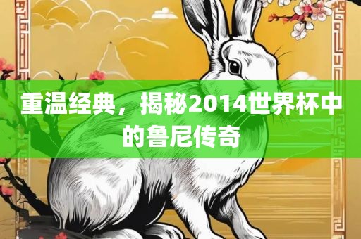 重温经典，揭秘2014世界杯中的鲁尼传奇