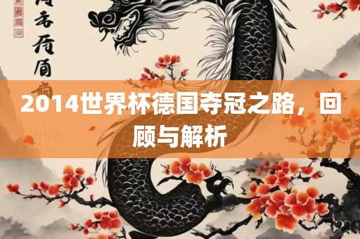 2014世界杯德国夺冠之路，回顾与解析