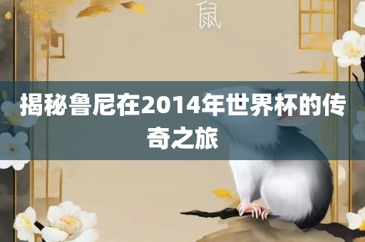 揭秘鲁尼在2014年世界杯的传奇之旅