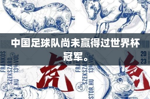 中国足球队尚未赢得过世界杯冠军。