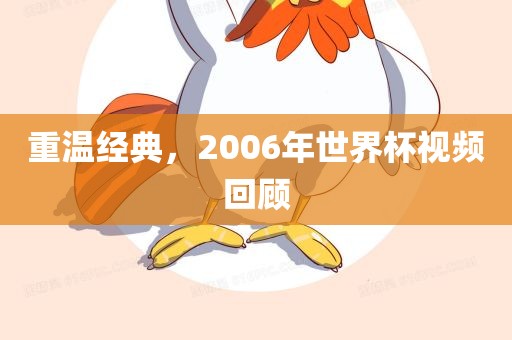 重洪湖市顺升工程机械租赁有限公司温经典，2006年世界杯视频回顾
