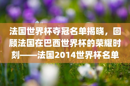 法国世界杯夺冠名单揭晓，回顾法国在巴西世界杯的荣耀时刻——法国2014世界杯名单洪湖市顺升工程机械租赁有限公司