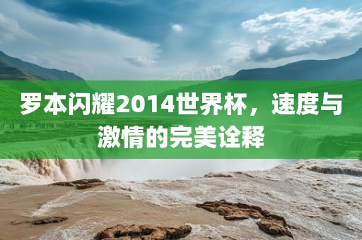 罗本闪耀2014世界杯，速度与激情的完美诠释