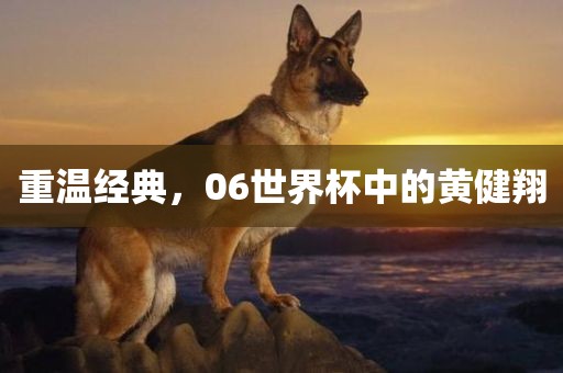 重温经典，06世界杯中的黄健翔洪湖市顺升工程机械租赁有限公司