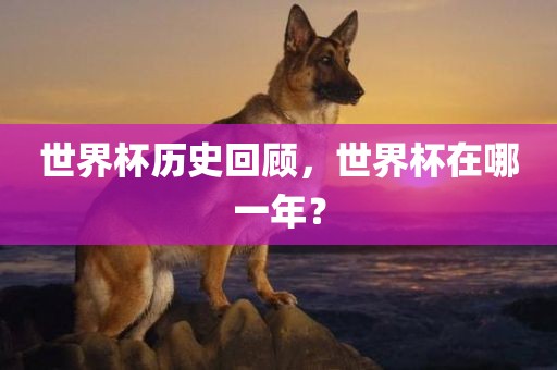 世界杯历史回顾，世界杯在哪一年？洪湖市顺升工程机械租赁有限公司