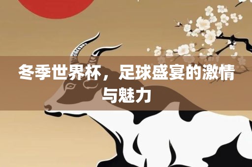 冬季世界杯，足球盛宴的激情与魅力