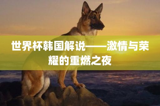 世界杯韩国解说——激情与荣耀的重燃之夜洪湖市顺升工程机械租赁有限公司