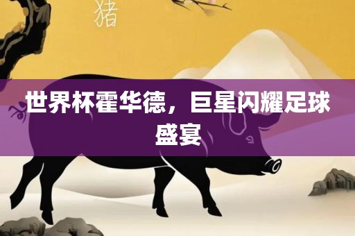 世界杯霍华洪湖市顺升工程机械租赁有限公司德，巨星闪耀足球盛宴