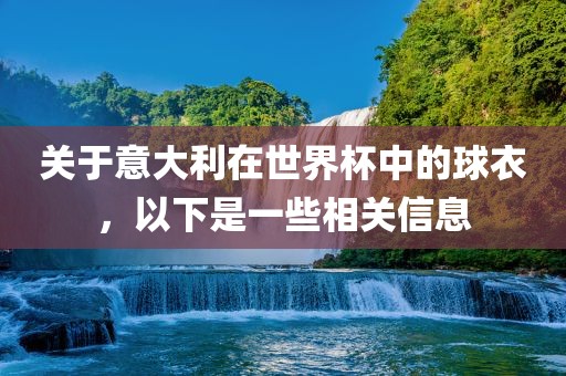 关于意大利在世界杯中的球衣，以下是一些相关信息