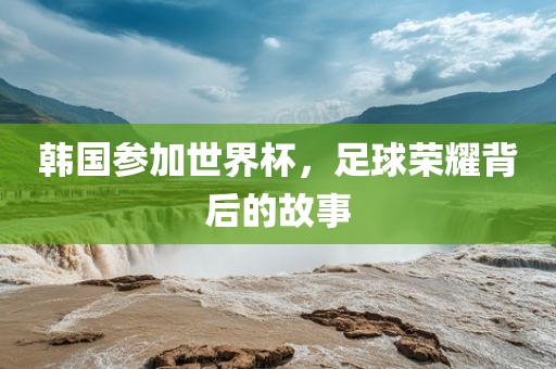 韩国参加世界杯，足球荣耀背后的故事洪湖市顺升工程机械租赁有限公司