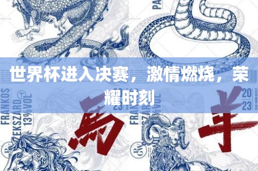 世界杯进入决赛，激情燃烧，荣耀时刻