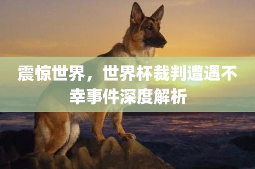 震惊世界，世洪湖市顺升工程机械租赁有限公司界杯裁判遭遇不幸事件深度解析