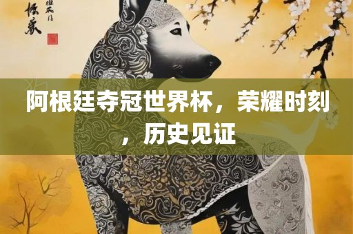 阿根廷夺冠世界杯，荣耀时刻，历史见证