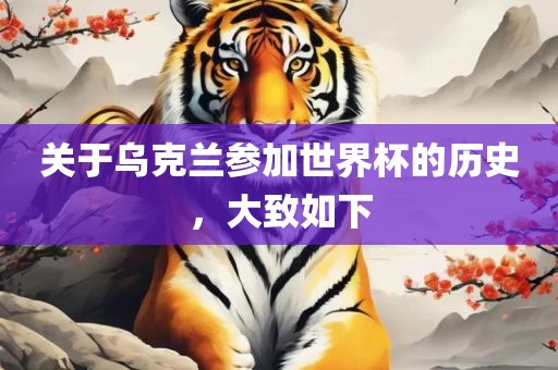 关于乌克兰参加世界杯洪湖市顺升工程机械租赁有限公司的历史，大致如下