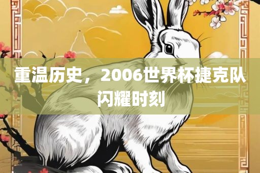重温历史，2006世界杯捷克队闪耀时刻洪湖市顺升工程机械租赁有限公司
