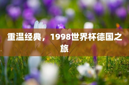 重温经典，1998世界杯德国之旅洪湖市顺升工程机械租赁有限公司