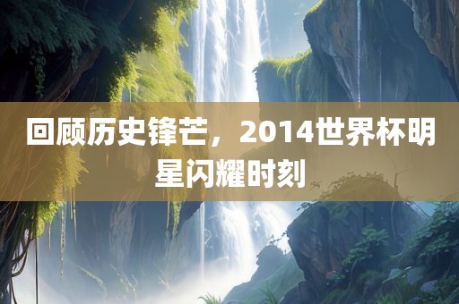 回顾历洪湖市顺升工程机械租赁有限公司史锋芒，2014世界杯明星闪耀时刻