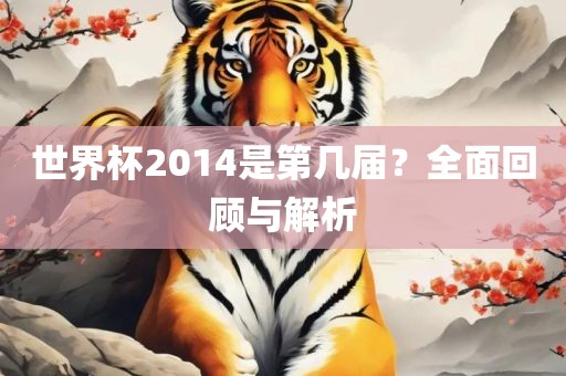 世界杯2014是第几届？全面回顾与解析洪湖市顺升工程机械租赁有限公司