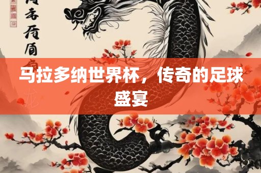 马拉多纳洪湖市顺升工程机械租赁有限公司世界杯，传奇的足球盛宴