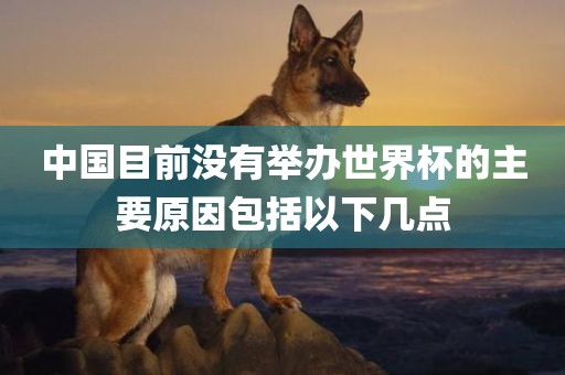 中国目前没有洪湖市顺升工程机械租赁有限公司举办世界杯的主要原因包括以下几点