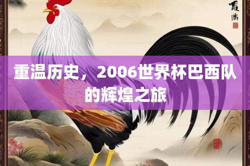 重温历史，2006世界杯巴西队的辉煌之旅洪湖市顺升工程机械租赁有限公司