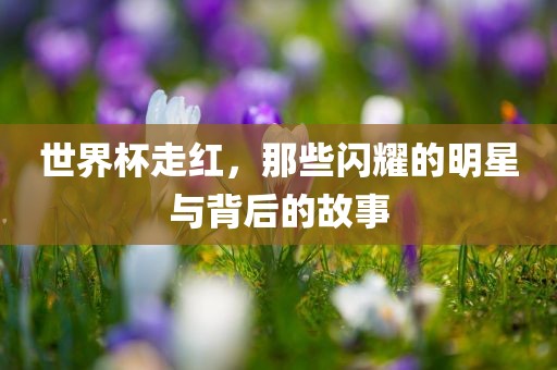 世界杯走红，那些闪耀的明星与背后的故事洪湖市顺升工程机械租赁有限公司