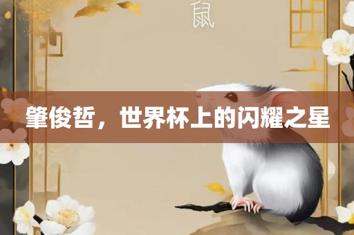 肇俊哲，世界杯上的闪耀之星洪湖市顺升工程机械租赁有限公司