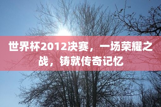 世界杯2012决赛，一场荣耀之战，铸就传奇记忆