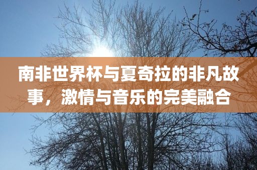 南非世界杯与夏奇拉的非凡故事，激情与音乐的完美融合