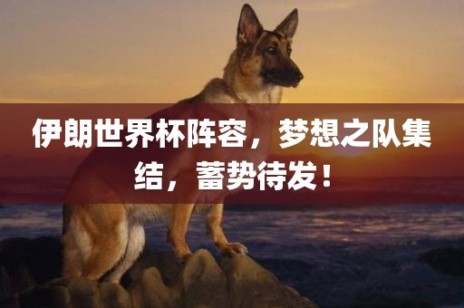 伊朗世界杯阵容，梦想之队集结洪湖市顺升工程机械租赁有限公司，蓄势待发！