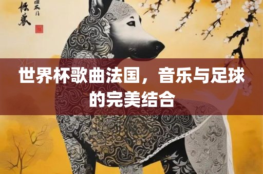 世界杯歌曲法国，音乐与足球的完美结合