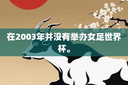 在2003年并没有举办女足世界杯。