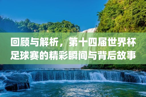 回顾与解析，第十四届世界杯足球赛的精彩瞬间与背后故事