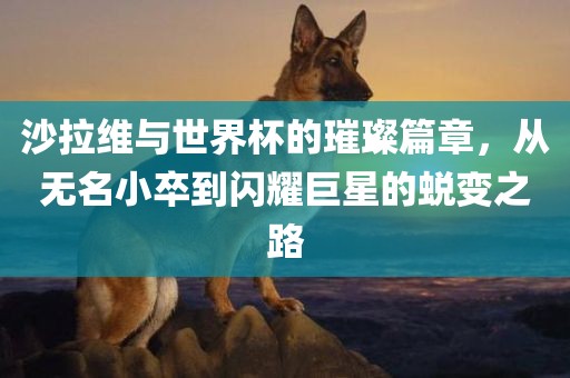 沙拉维洪湖市顺升工程机械租赁有限公司与世界杯的璀璨篇章，从无名小卒到闪耀巨星的蜕变之路