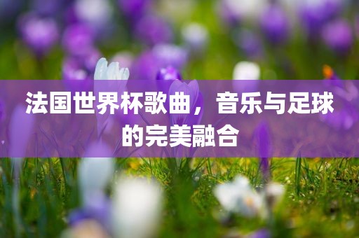 法国世界杯歌曲，音乐与足球的完美融合洪湖市顺升工程机械租赁有限公司